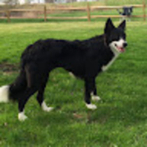 Meet your Posher, Mary jo